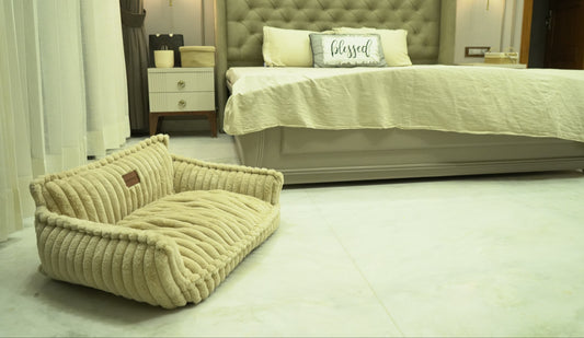 Premium Sofa Lounger Bed